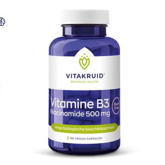 VitaKruid Vitamine B3 Niacinamide 500 mg